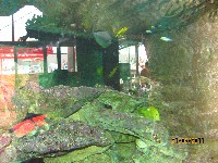 IMG_3318.JPG, 16kB